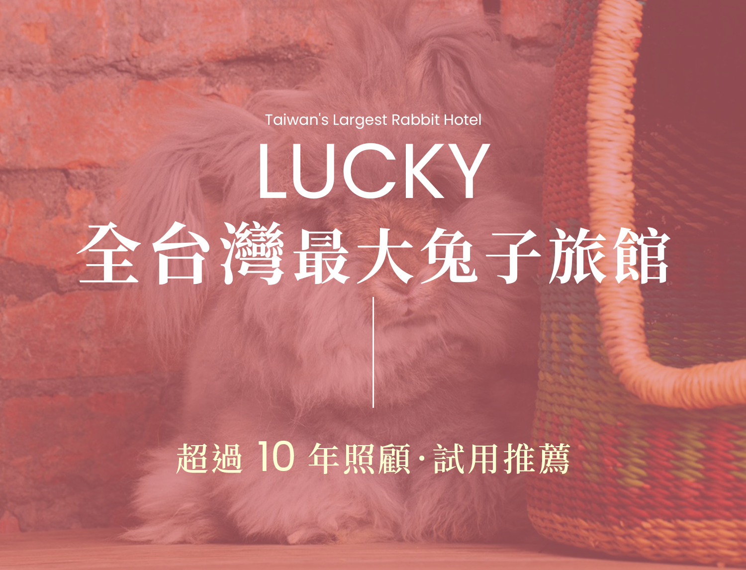 LUCKY兔子旅館試用推薦幸運踢小寵清潔用品，具超過10年兔子照顧經驗