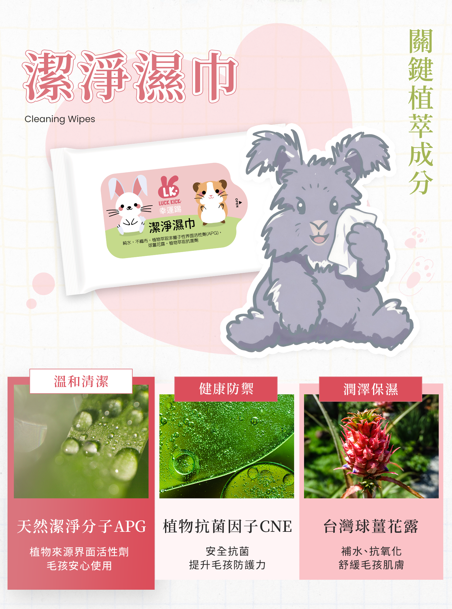 潔淨濕巾成分重點：植物來源APG、植物抗菌因子CNE與台灣球薑花露
